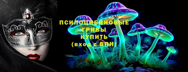 мяу мяу кристалл Гусь-Хрустальный